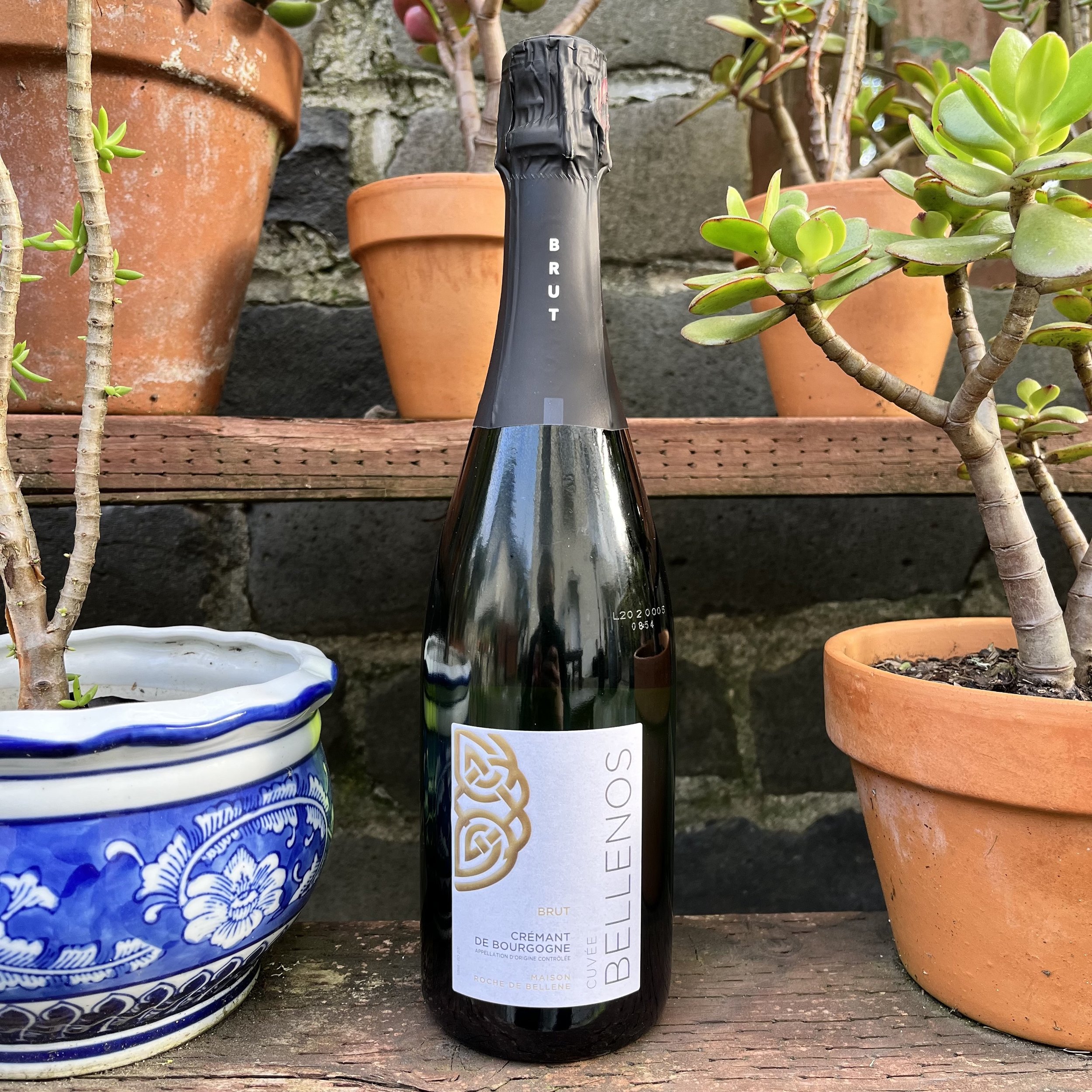 Alain Graillot Crozes-Hermitage 2021 — Kenshin Sake